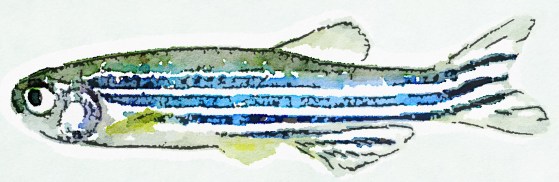 Painted in Waterlogue